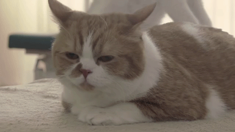 흔한 안마 시술소 | 인스티즈