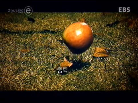 한 천재가 삼킨 네번째 사과 - 앨런튜링 | 인스티즈