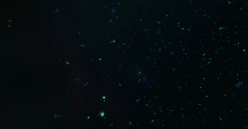 [라이프오브파이] 재개봉하면 아이맥스로 꼭 한번 다시 보고 싶은 영화.gif | 인스티즈