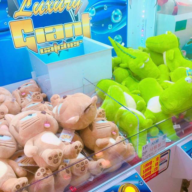 홍대의 인형자판기 | 인스티즈