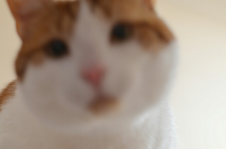 사진 못 찍는 애들이 찍은 사진들 특징 | 인스티즈