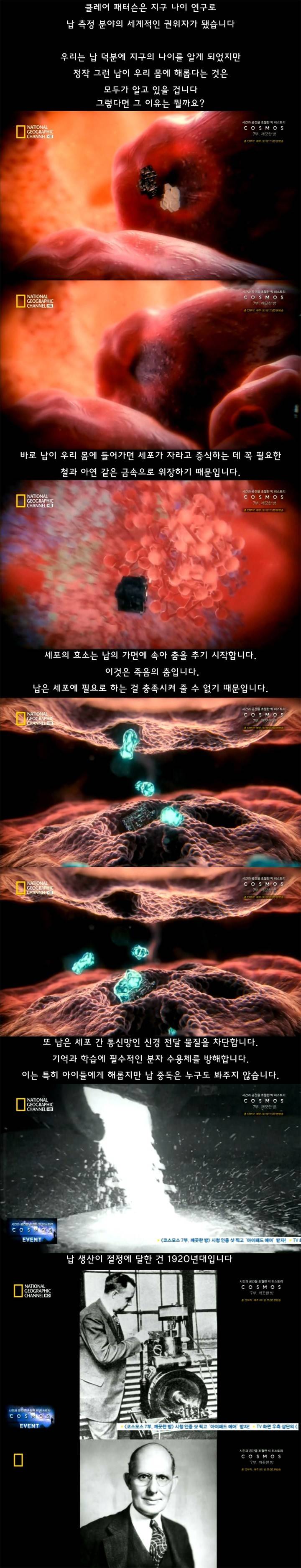 어느 예민한 과학자의 업적 | 인스티즈