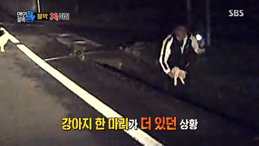 사람에게 도움을 청하는 강아지들 | 인스티즈