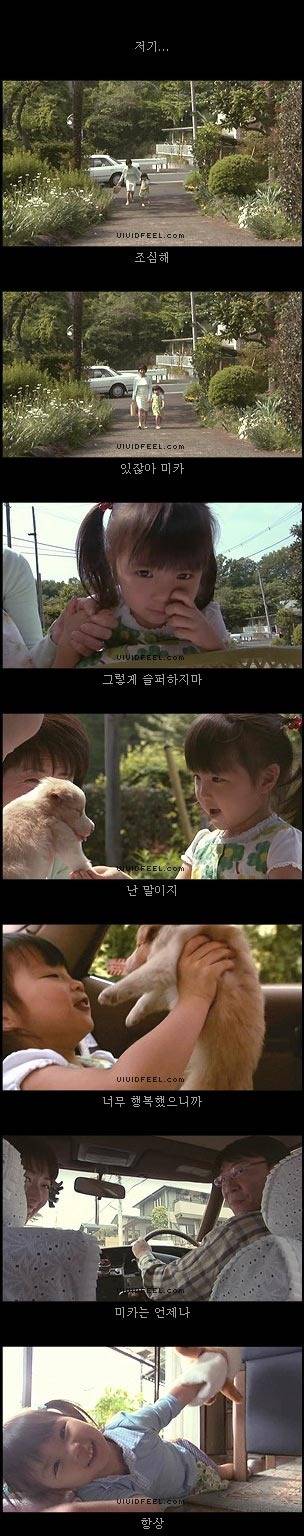 개의 일생 | 인스티즈