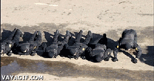 쓸데없이 멋있음.gif | 인스티즈