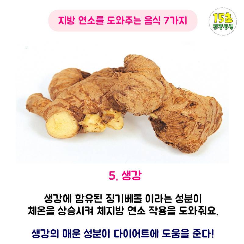 지방 연소에 도움이 되는 음식 | 인스티즈