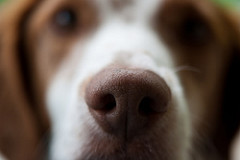 사진 못 찍는 애들이 찍은 사진들 특징 | 인스티즈