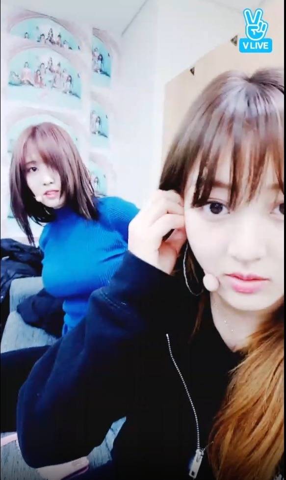 모모가 좋아지는 짤.jpg | 인스티즈