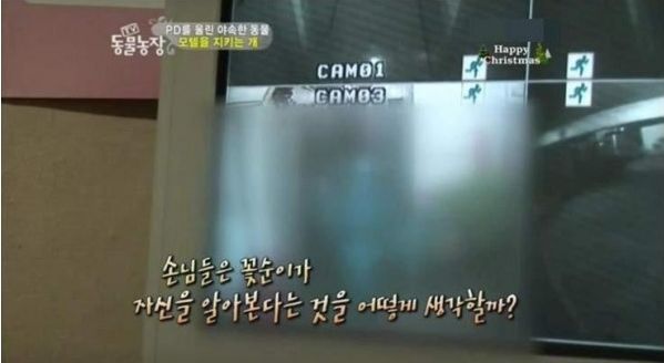 단골을 알아보는 멍멍이 | 인스티즈