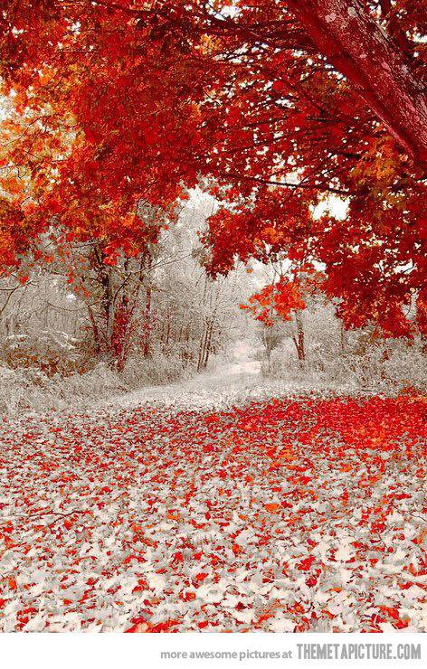 가을과 겨울이 만나는 곳 | 인스티즈