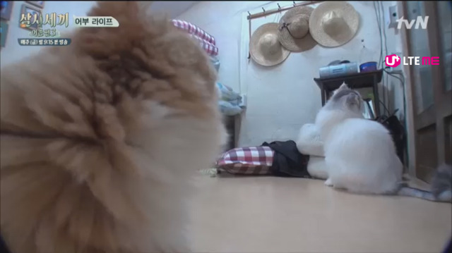 나영석 PD 예능에서 은근 호불호 나뉘는 편집.jpg | 인스티즈