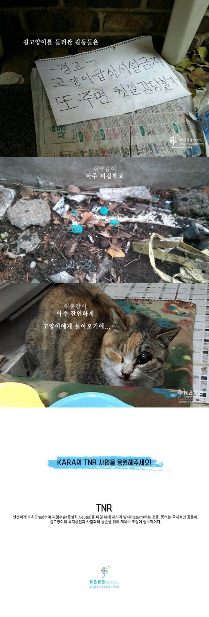 [해피빈] TNR로 길고양이를 지켜주세요! 동물보호시민단체 카라에서 길고양이 중성화수술비용 모금중이에요 (테러로 죽는 길고양이들) | 인스티즈