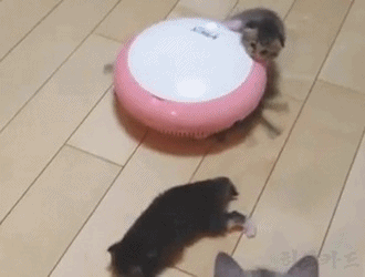 막내 챙기는 형아 | 인스티즈