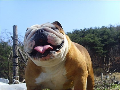 ???? : 내가 길라임인데? | 인스티즈