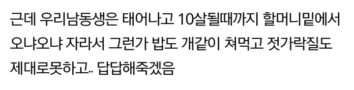 젓가락질 못하는 동생 뭐라했더니 적반하장 화냄.jpg | 인스티즈