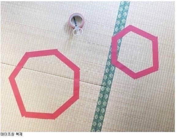 신기한 냥이 종특.jpg | 인스티즈