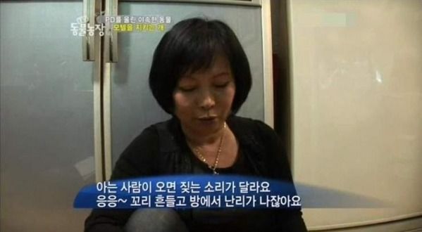 단골을 알아보는 멍멍이 | 인스티즈