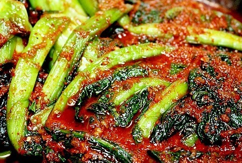 김치중에 가장 호불호 갈리는 김치 | 인스티즈