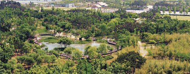 어느 지방 도시의 도심속 녹지.jpg | 인스티즈