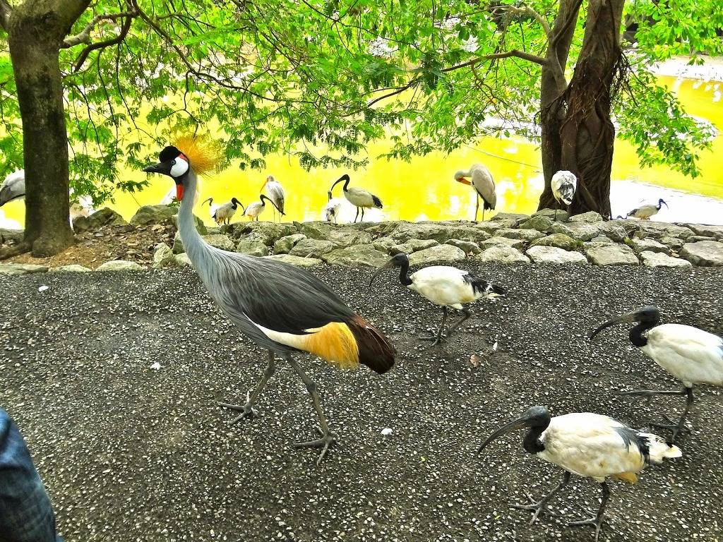 대학생 추천 여행지 오키나와 ㅎㄷㄷ | 인스티즈