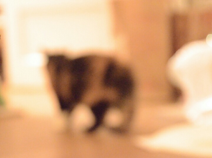 사진 못 찍는 애들이 찍은 사진들 특징 | 인스티즈