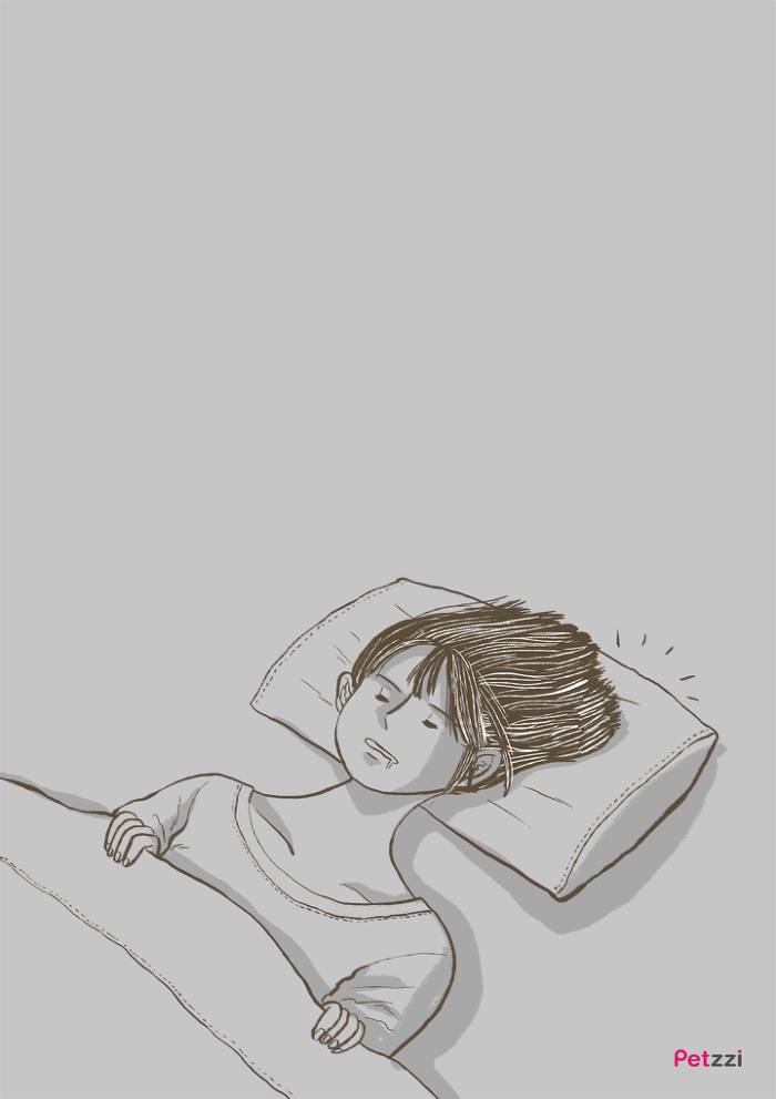 이해할 수 없는 고양이들의 취향.jpg | 인스티즈