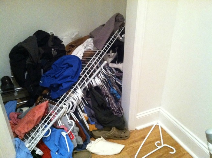 나 찾아보라냥~ | 인스티즈