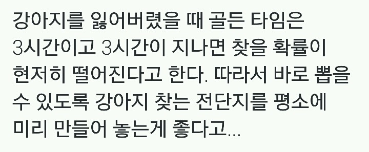 [라디오스타] 강아지를 잃어버렸을 때 골든타임은 3시간.jpg | 인스티즈