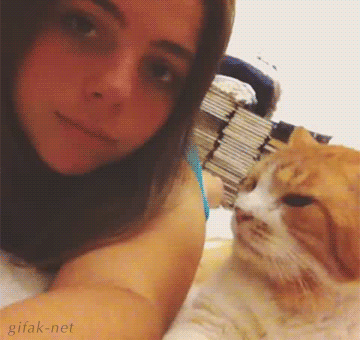 허락없이 들이대지 말라냥 | 인스티즈