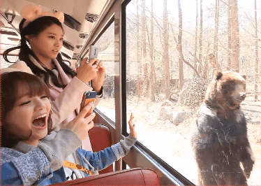 걸그룹 온다고 주말에 출근 시킴.gif | 인스티즈