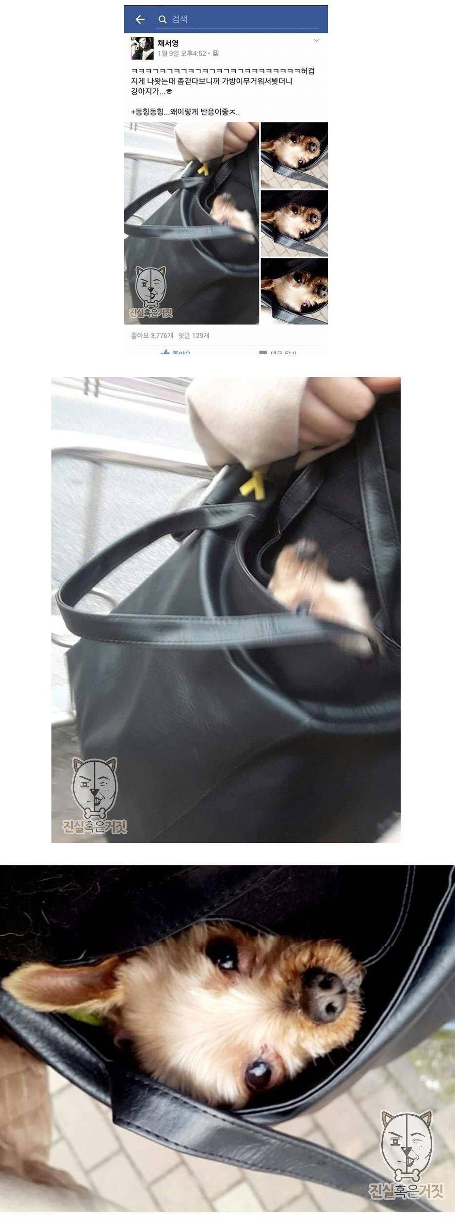 허겁지게 나왓는대 좀걷다보니꺼 가방이 무거워서봤더니.jpg | 인스티즈