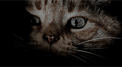 투명한 유리구슬처럼 보이지만~ | 인스티즈