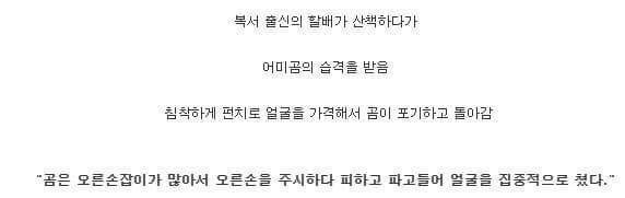 곰의 습격을 받은 할아버지.jpg | 인스티즈