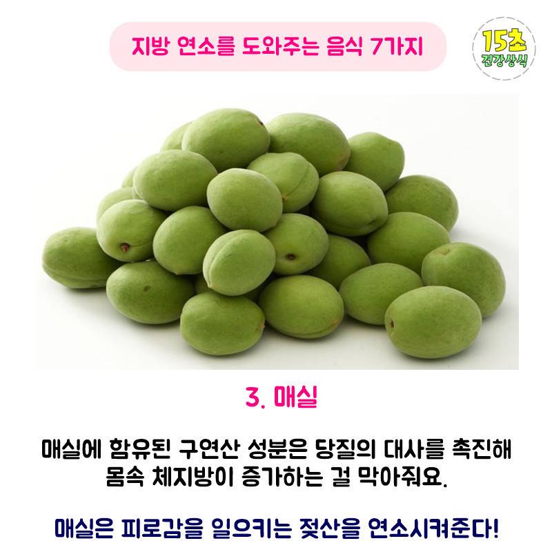 지방 연소에 도움이 되는 음식 | 인스티즈