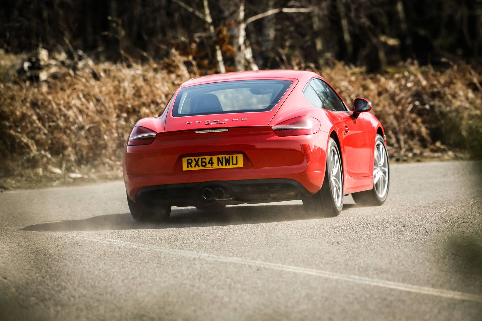 포르쉐 카이맨 vs BMW M235i vs 아우디 TT S | 인스티즈