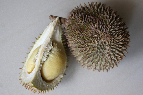  과일의 왕이라고 불리는 과일.jpg | 인스티즈