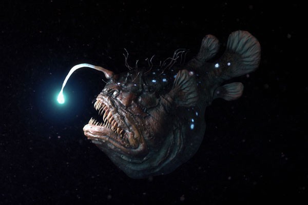 빛의 신비한 사실들 1부.JPG | 인스티즈