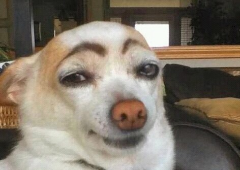 사진 못 찍는 애들이 찍은 사진들 특징 | 인스티즈