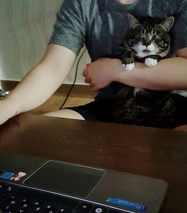 야동을 처음 본 고양이의 반응 | 인스티즈