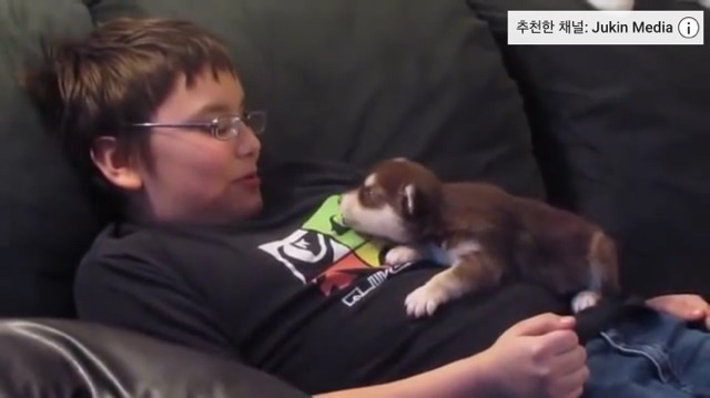 생후 20일된 허스키 하울링(귀여움주의) | 인스티즈