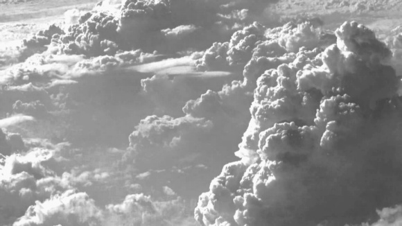 나는 고양이로소이다 | 인스티즈