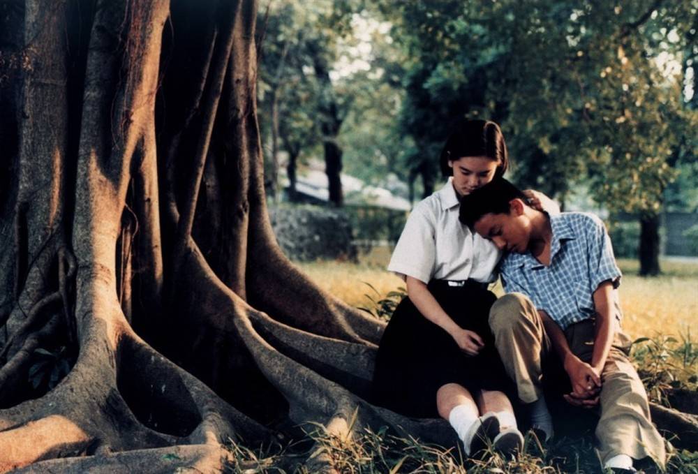 봉준호 감독이 선정한 아시아 영화 베스트 10 | 인스티즈