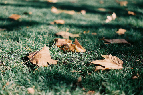 그립다고 써보니 차라리 말을 말자 그냥 긴 세월이 지났노 라고만 쓰자 | 인스티즈