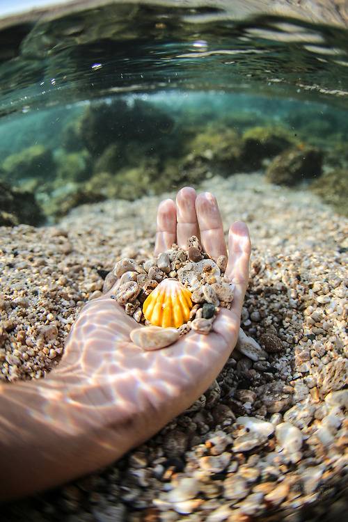 네가 나의 자랑이란걸 기억력이 좋은 네가 기억하기를,바라면서 나는 얼쩡거렸지 | 인스티즈