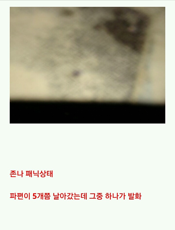 누가 이상한 돌을 줬는데...(번외完) | 인스티즈