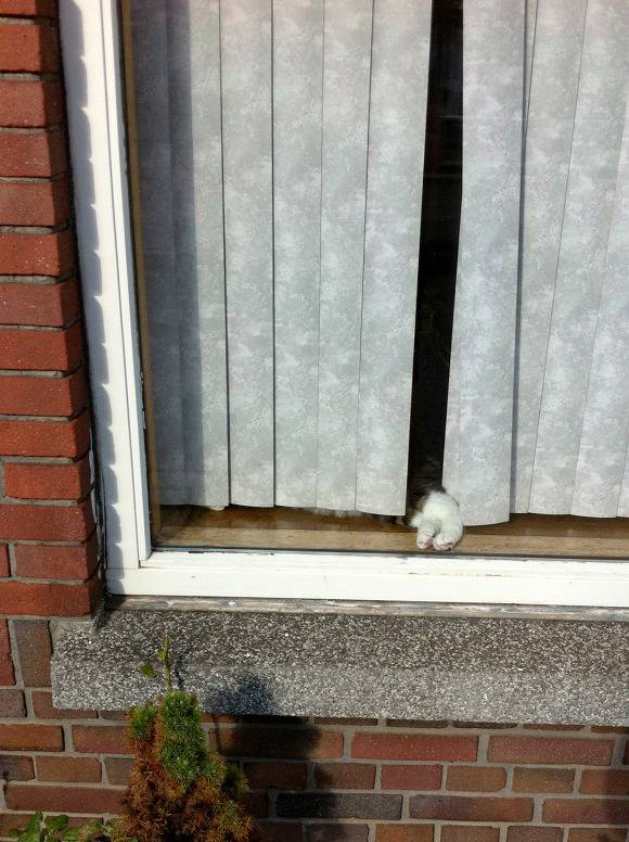 나 찾아보라냥~ | 인스티즈