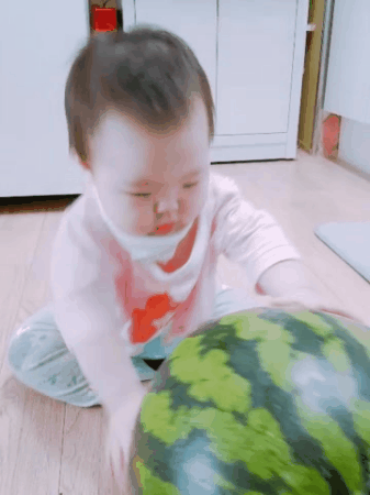 수박을 탁 쳤더니 | 인스티즈