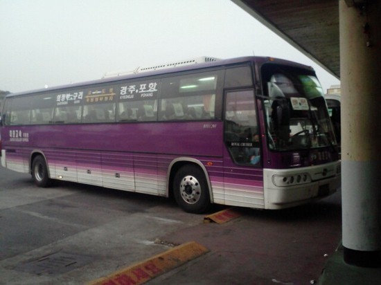 10월27일부터 포항터미널-경기도 양주역 정차 | 인스티즈