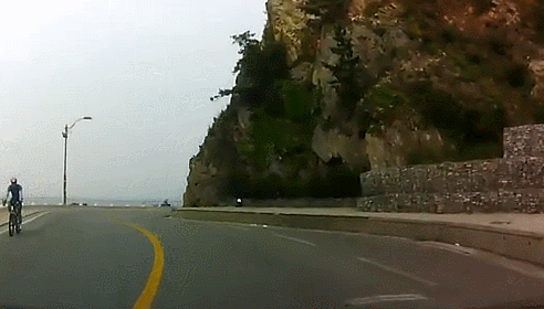 여러분 운전할때 자라니 조심하세요 ㄷㄷㄷ | 인스티즈