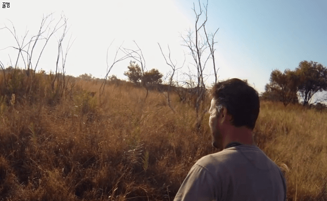 격하게 반겨주는 사냥이들 | 인스티즈